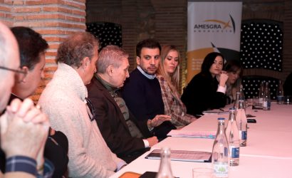 Acelerador de Experiencia amesgra